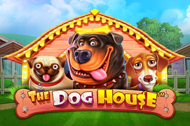 Играть в The Dog House Вулкан Платинум Казино